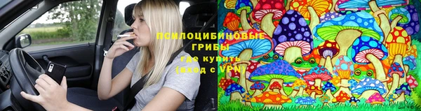 дурь Абаза