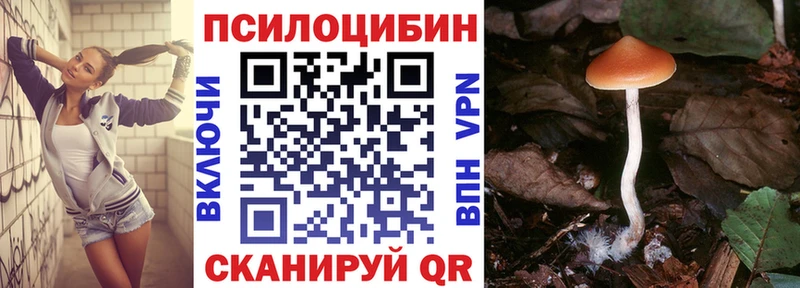 KRAKEN   где купить наркоту  Ахтырский  Галлюциногенные грибы GOLDEN TEACHER 